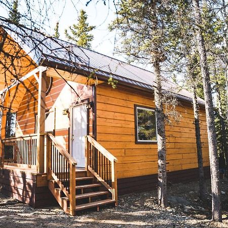 Denali Wild Stay - Redfox Cabin, Free Wifi, Private, Sleep 6 希利 外观 照片