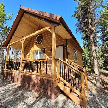 Denali Wild Stay - Redfox Cabin, Free Wifi, Private, Sleep 6 希利 外观 照片