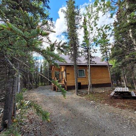 Denali Wild Stay - Redfox Cabin, Free Wifi, Private, Sleep 6 希利 外观 照片