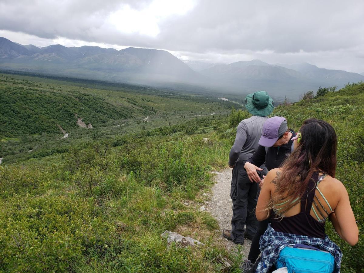 Denali Wild Stay - Redfox Cabin, Free Wifi, Private, Sleep 6 希利 外观 照片