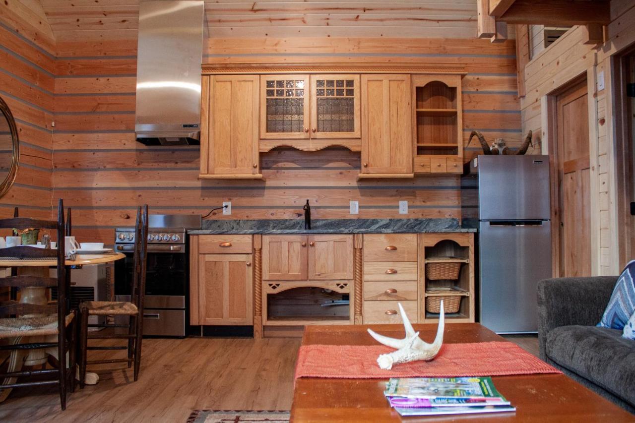 Denali Wild Stay - Redfox Cabin, Free Wifi, Private, Sleep 6 希利 外观 照片