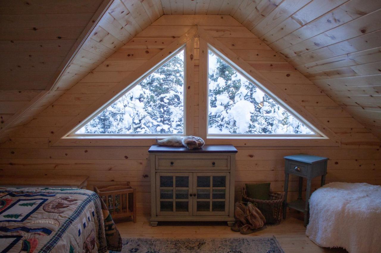 Denali Wild Stay - Redfox Cabin, Free Wifi, Private, Sleep 6 希利 外观 照片