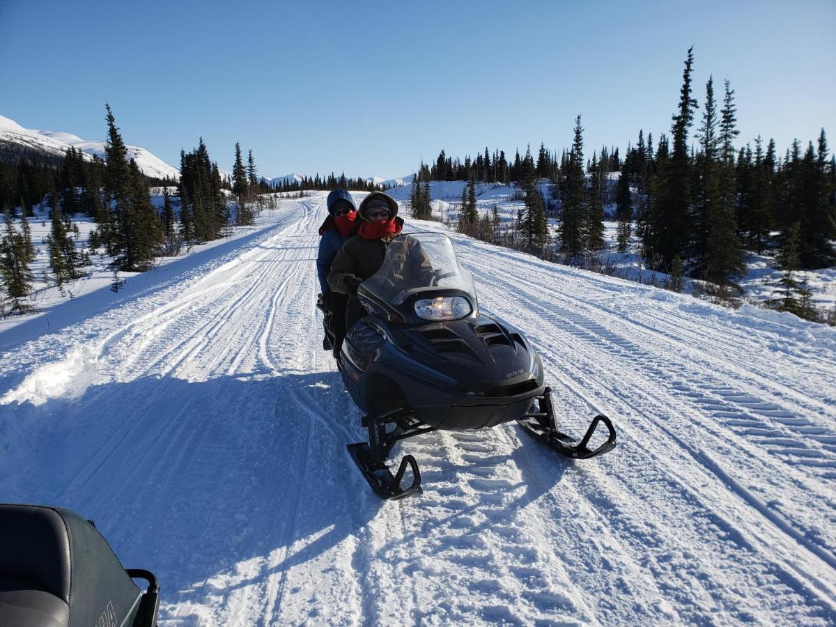 Denali Wild Stay - Redfox Cabin, Free Wifi, Private, Sleep 6 希利 外观 照片