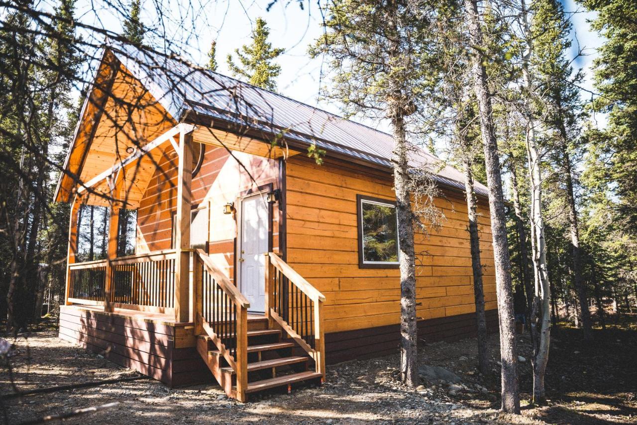 Denali Wild Stay - Redfox Cabin, Free Wifi, Private, Sleep 6 希利 外观 照片