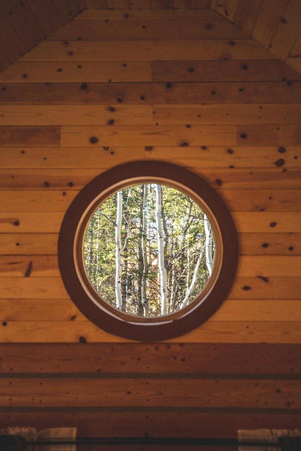 Denali Wild Stay - Redfox Cabin, Free Wifi, Private, Sleep 6 希利 外观 照片