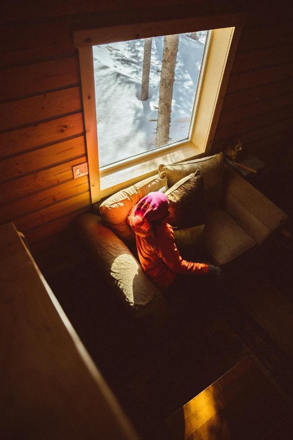 Denali Wild Stay - Redfox Cabin, Free Wifi, Private, Sleep 6 希利 外观 照片
