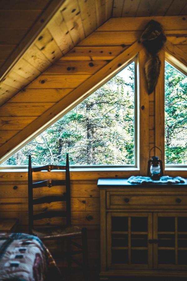 Denali Wild Stay - Redfox Cabin, Free Wifi, Private, Sleep 6 希利 外观 照片
