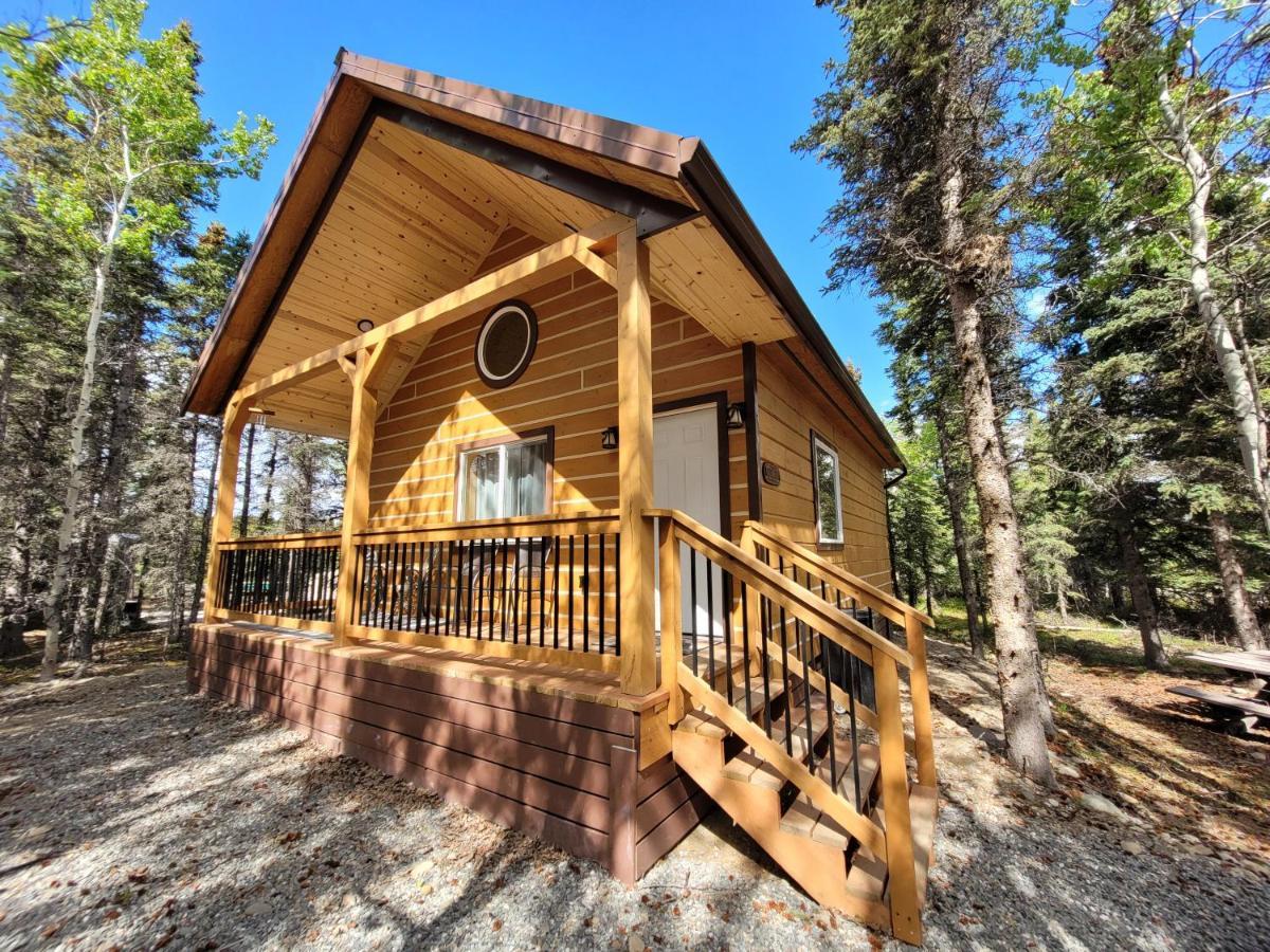 Denali Wild Stay - Redfox Cabin, Free Wifi, Private, Sleep 6 希利 外观 照片