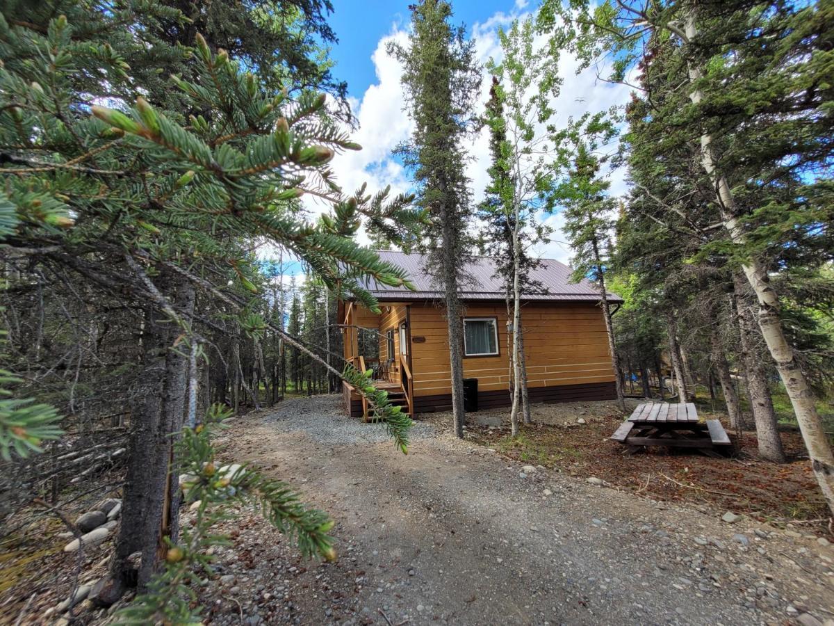Denali Wild Stay - Redfox Cabin, Free Wifi, Private, Sleep 6 希利 外观 照片